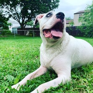 Meet your Posher, Shane